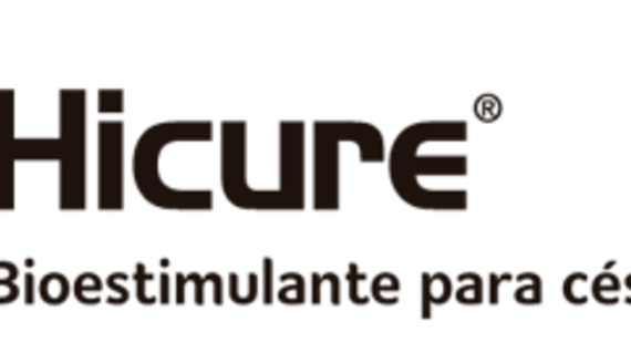 Logo Hicure