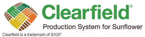 Logotipo tecnología Clearfield