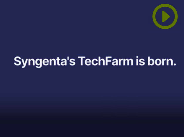 El trabajo importa - Syngenta's TechFarm is born
