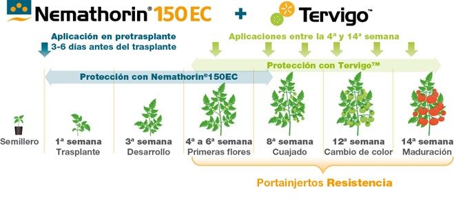Nemathorin 150 EC + Tervigo
