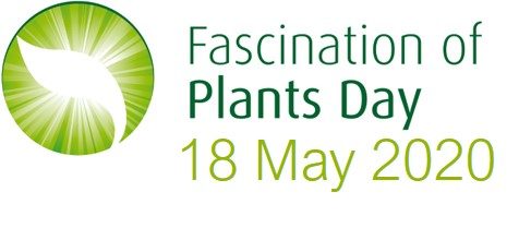 Día Internacional de la Fascinación por las Plantas